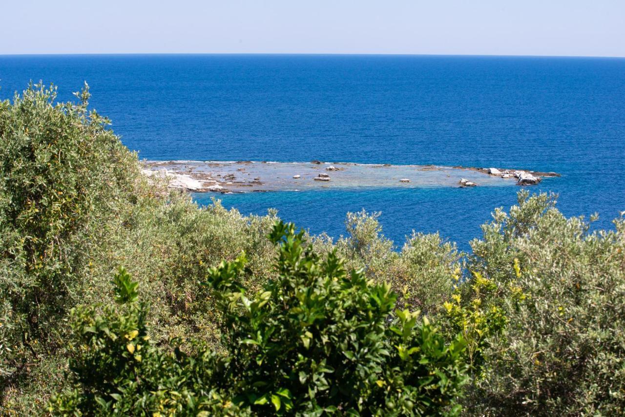Archodissa Villa Thimonia ภายนอก รูปภาพ
